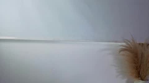 invincible200 online show from October 2025 02:23:02 PM