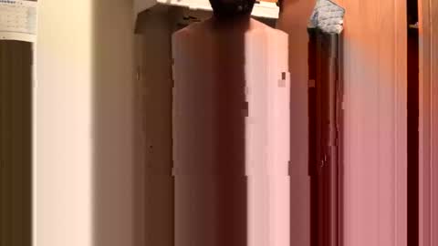 inyourmouthagain online show from October 2025 09:29:02 AM