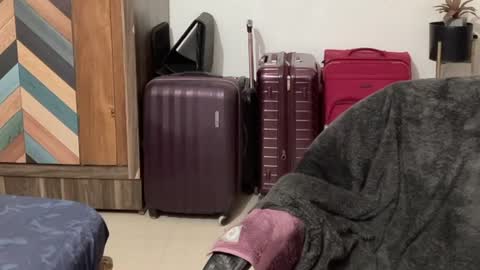 Raje online show from October 2025 12:03:01 PM