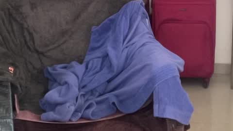 Raje online show from October 2025 03:05:02 AM