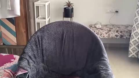 Raje online show from October 2025 07:20:02 AM