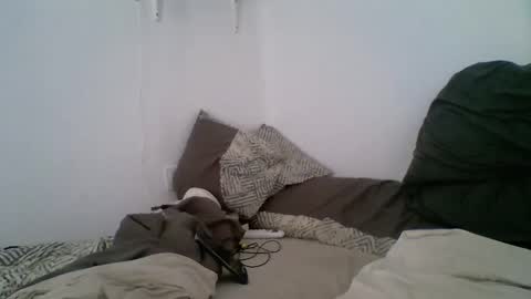 Snapshot of iyoperro chatting on October 2025 10:24:01 AM Casandro online show from October 2025 10:24:01 AM