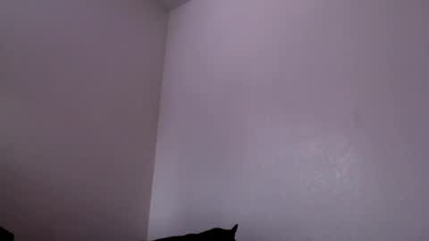 Mugen online show from February 2025 06:27:02 PM