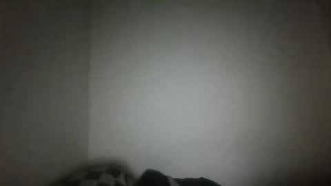 Snapshot of jacklack221 chatting on February 2025 04:47:01 AM jack online show from February 2025 04:47:01 AM