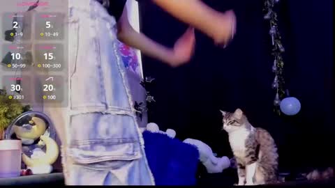 Jackson online show from February 2025 08:45:01 PM