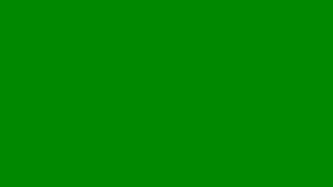 showingitoff online show from September 2025 03:41:02 AM