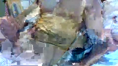 Snapshot of jameswhite5001 chatting on February 2025 03:21:01 PM jameswhite5001 online show from February 2025 03:21:01 PM