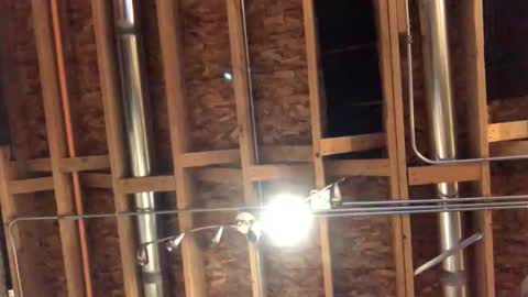 jamie19905 online show from October 2025 02:25:02 AM