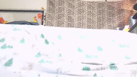 Snapshot of jamwarnerone chatting on October 2025 04:17:02 PM Bootyshows online show from October 2025 04:17:02 PM