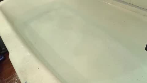 Snapshot of jamwarnerone chatting on October 2025 07:59:01 PM Bootyshows online show from October 2025 07:59:01 PM