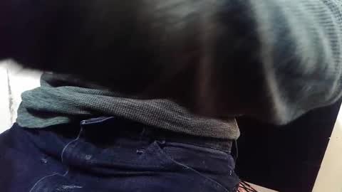 Snapshot of jamwarnerone chatting on October 2025 09:11:04 AM Bootyshows online show from October 2025 09:11:04 AM