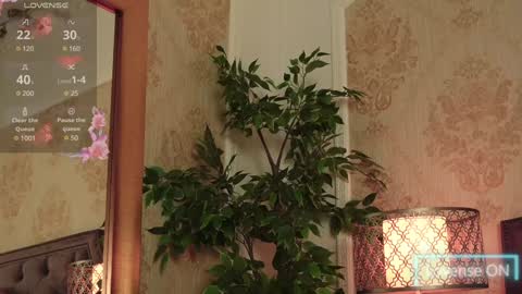 JaneDevine online show from December 2024 10:08:02 AM