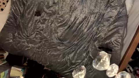 Snapshot of janetrans84 chatting on January 2025 11:03:01 AM janetrans84 online show from January 2025 11:03:01 AM