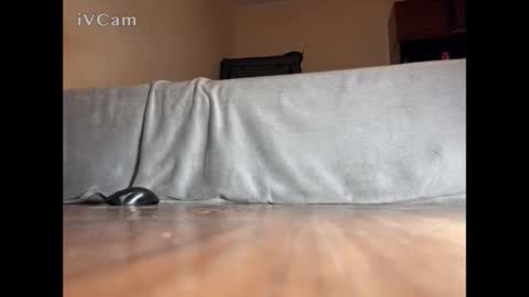 Snapshot of jarrettsss chatting on November 2025 07:56:02 PM jarrettsss online show from November 2025 07:56:02 PM