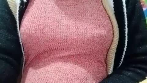 jasspreettt online show from January 2025 05:48:01 AM