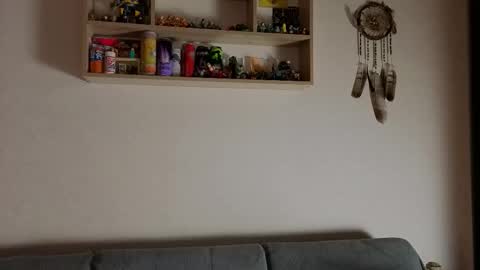 jastinpet online show from November 2025 07:13:01 PM