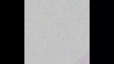 Javier online show from February 2025 03:00:02 AM