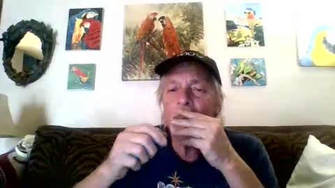 Snapshot of jay_jay1475 chatting on February 2025 06:33:01 PM jay-jay1475 online show from February 2025 06:33:01 PM