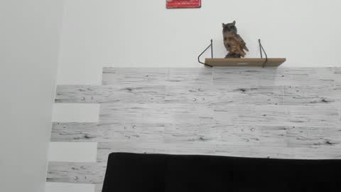 Snapshot of jaycreedd chatting on September 2025 04:56:02 PM Jaycreedd online show from September 2025 04:56:02 PM