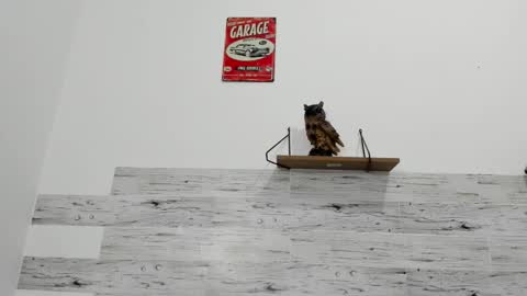 Snapshot of jaycreedd chatting on October 2025 05:02:02 AM Jaycreedd online show from October 2025 05:02:02 AM