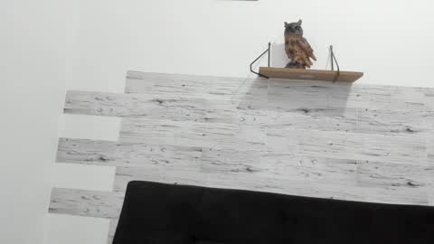 Snapshot of jaycreedd chatting on October 2025 09:55:01 PM Jaycreedd online show from October 2025 09:55:01 PM