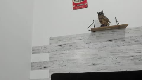 Snapshot of jaycreedd chatting on October 2025 01:26:01 AM Jaycreedd online show from October 2025 01:26:01 AM