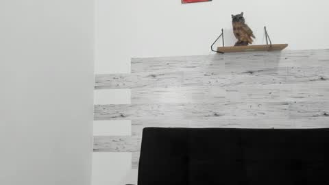 Snapshot of jaycreedd chatting on October 2025 02:53:02 AM Jaycreedd online show from October 2025 02:53:02 AM