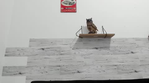 Snapshot of jaycreedd chatting on October 2025 01:48:02 AM Jaycreedd online show from October 2025 01:48:02 AM