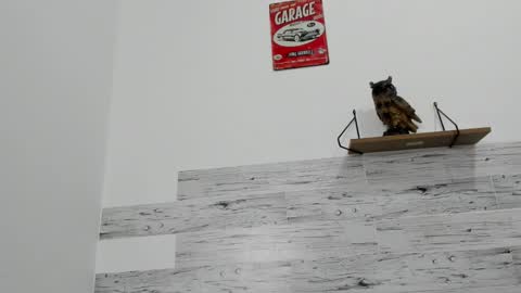 Snapshot of jaycreedd chatting on October 2025 10:09:01 PM Jaycreedd online show from October 2025 10:09:01 PM