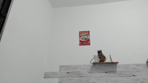 Snapshot of jaycreedd chatting on October 2025 12:07:02 AM Jaycreedd online show from October 2025 12:07:02 AM