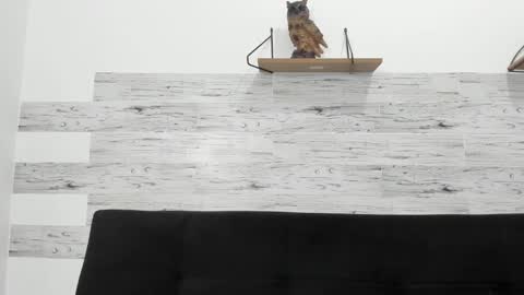 Snapshot of jaycreedd chatting on October 2025 04:15:02 AM Jaycreedd online show from October 2025 04:15:02 AM