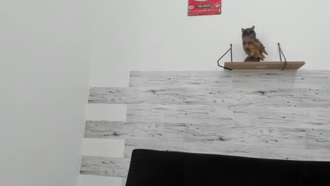 Snapshot of jaycreedd chatting on November 2025 04:42:01 PM Jaycreedd online show from November 2025 04:42:01 PM