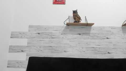 Snapshot of jaycreedd chatting on November 2025 11:48:01 PM Jaycreedd online show from November 2025 11:48:01 PM