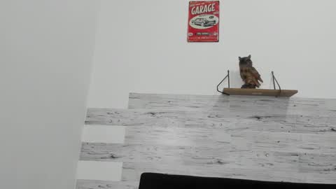 Snapshot of jaycreedd chatting on November 2025 04:56:01 AM Jaycreedd online show from November 2025 04:56:01 AM