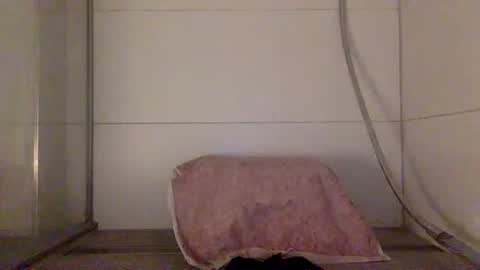 Hafte online show from October 2025 08:18:01 PM