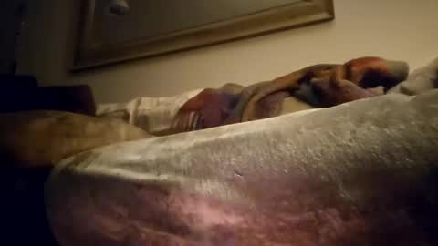 Snapshot of jcramirez1975 chatting on December 2024 03:03:02 AM Jcramirez1975s online show from December 2024 03:03:02 AM