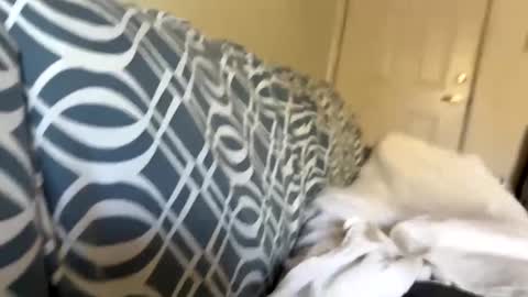 Jerkstar16 online show from December 2024 06:00:02 PM