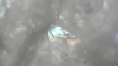 jessica herreraToday I will be your devil and you my victim online show from December 2024 02:56:02 AM