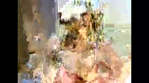 Snapshot of jessajoyy chatting on February 2025 04:11:01 PM jessajoyy online show from February 2025 04:11:01 PM