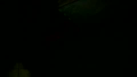 Snapshot of jessicarabbits4 chatting on December 2024 04:02:02 AM dovedianna online show from December 2024 04:02:02 AM