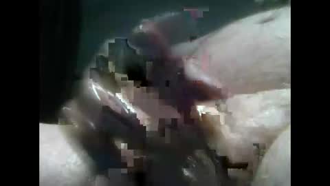 jimboluv488 online show from December 2024 02:10:02 AM