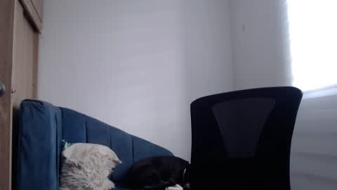 JIMMY online show from September 2025 09:04:02 PM