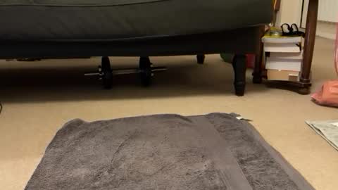 jinker2002 online show from December 2024 05:22:01 PM