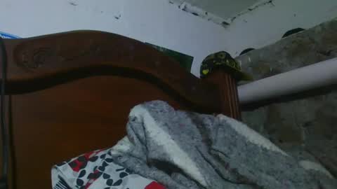 Johnny online show from December 2024 11:39:01 PM