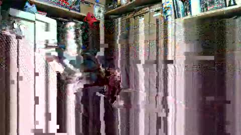 jonathan1982jch online show from September 2025 08:51:02 AM