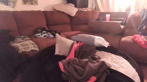 JayHungster xxx online show from October 2025 01:28:02 AM