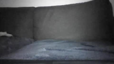 Snapshot of josei_h chatting on December 2024 07:15:02 PM Hentai Jo online show from December 2024 07:15:02 PM