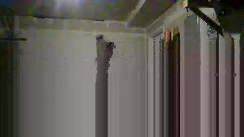 sissy josphine online show from October 2025 06:36:02 AM