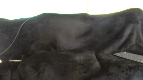 juanmamestre94 online show from October 2025 01:41:02 PM