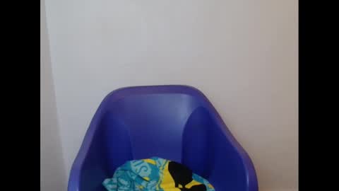 juicyxpink online show from February 2025 02:16:02 PM